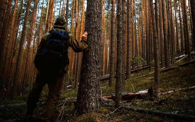 В Канаде мужчина 34 дня блуждал по лесу