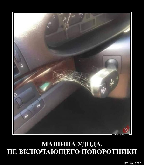 Демотиваторы в конце недели: «Поддержка коллег важна» Демотиваторы в конце недели: «Поддержка коллег важна»