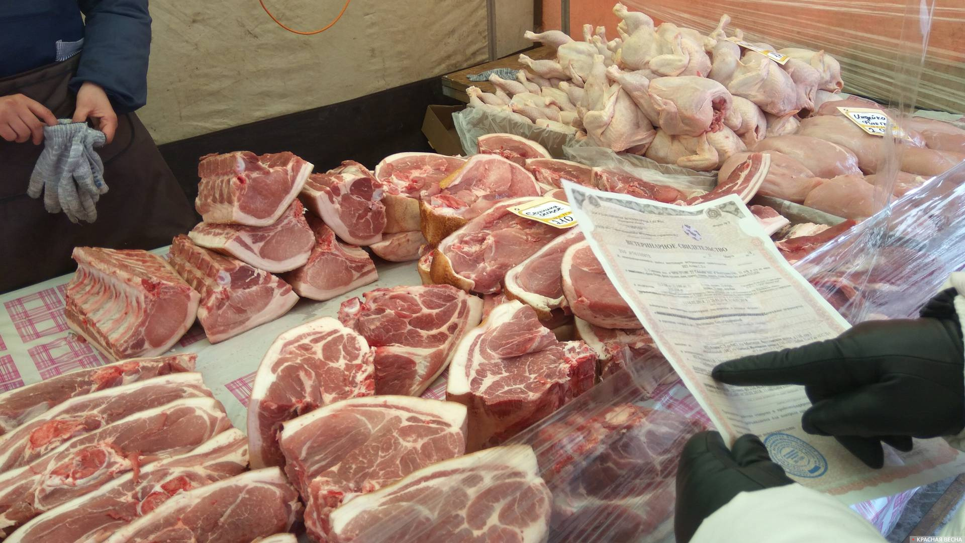 Российский рынок. Импорт свинины. Страны экспортеры свинины. Импорт свинины. Страны экспортеры свинины.