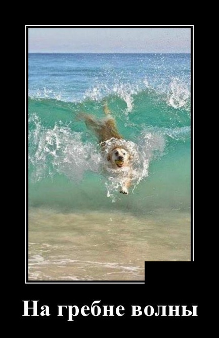 Демотиваторы смешные 