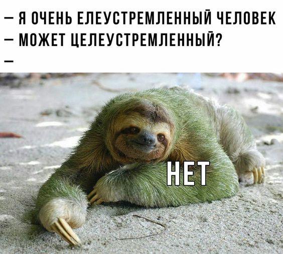 Ничего лишнего, просто подборка юмора 