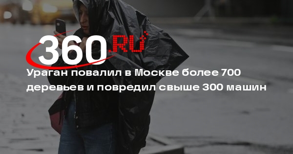 Бирюков: из-за урагана в Москве пострадали более 300 автомобилей