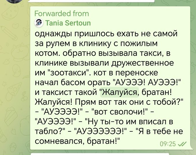 У нас в стране к любому можно подойти, обнять и сказать «Ладно, всё образуется» 
