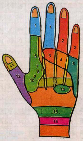 Точки «скорой помощи» на вашей ладони  внутренние органы,здоровье, ладонь, массаж, организм, самомассаж