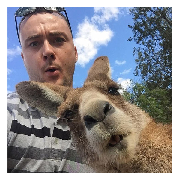 5 funny animal selfies Котики и кенгуру делают лучшие селфики