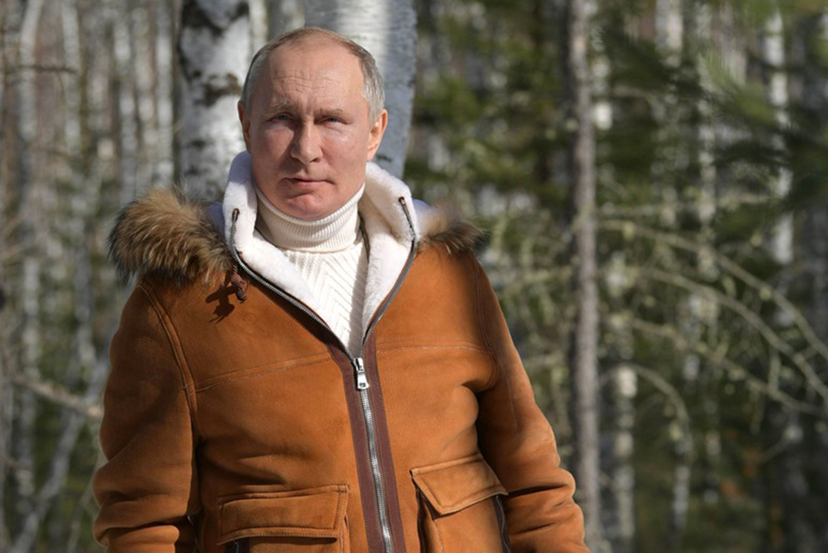 Путин в дубленке