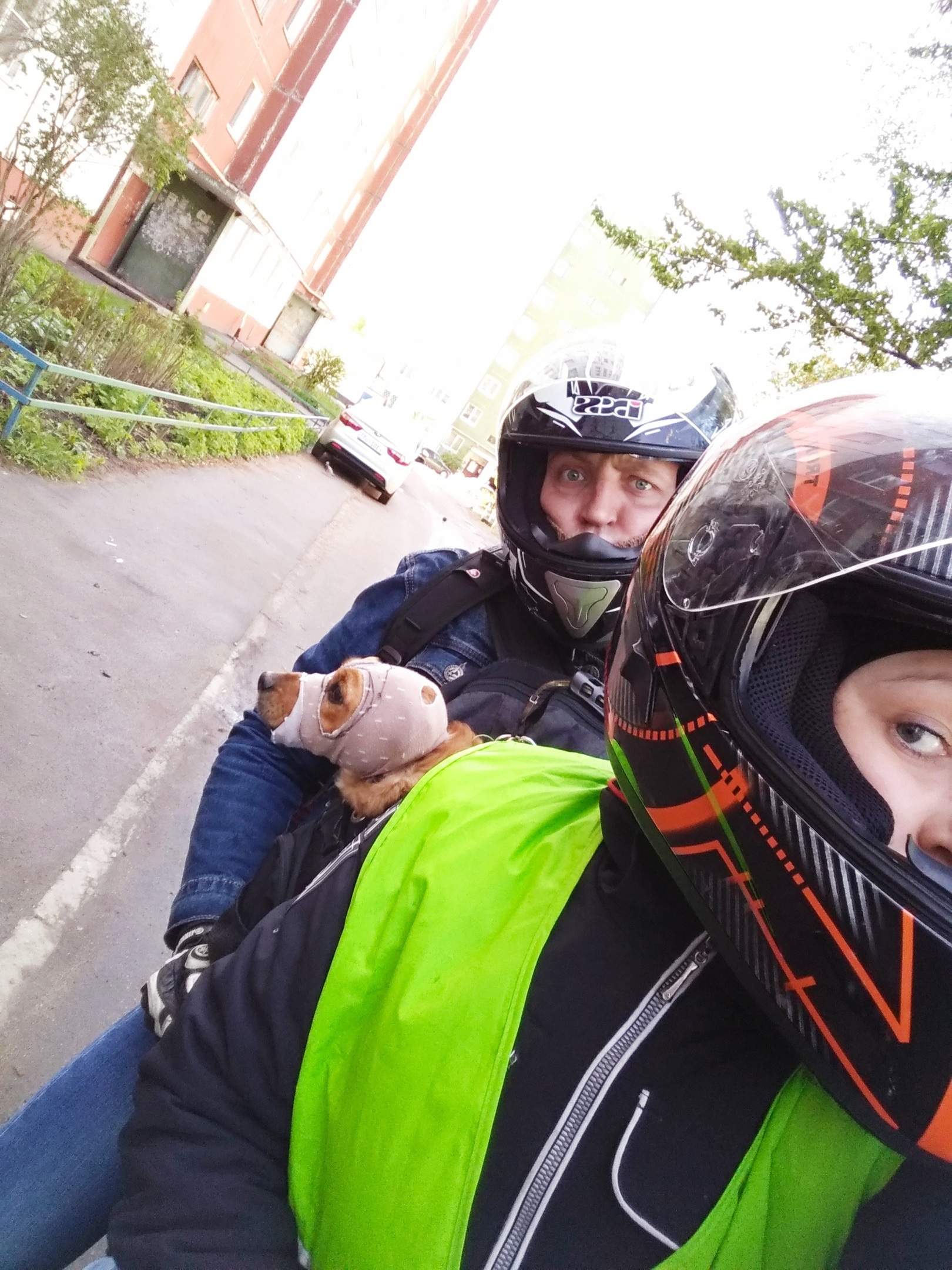 пёс с хозяевами