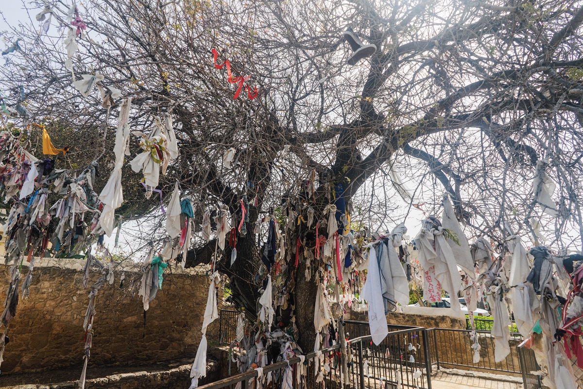 Пафосное фотопутешествие Пафосное фотопутешествие