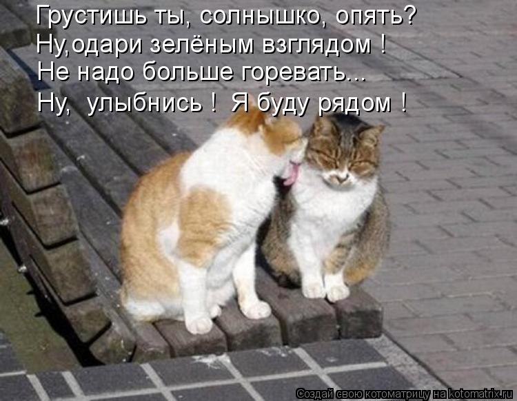 Котоматрица: Грустишь ты, солнышко, опять? Ну,одари зелёным взглядом ! Не надо больше горевать... Ну,  улыбнись !  Я буду рядом !