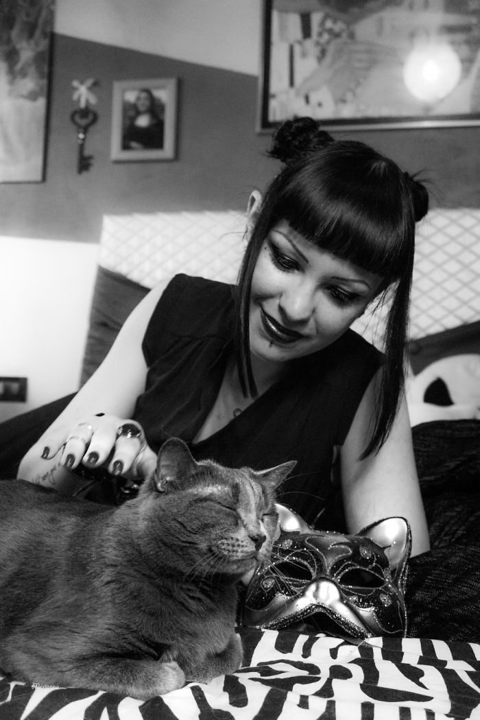 Счастливые кошки в фотографиях Marianna Zampieri Счастливые кошки