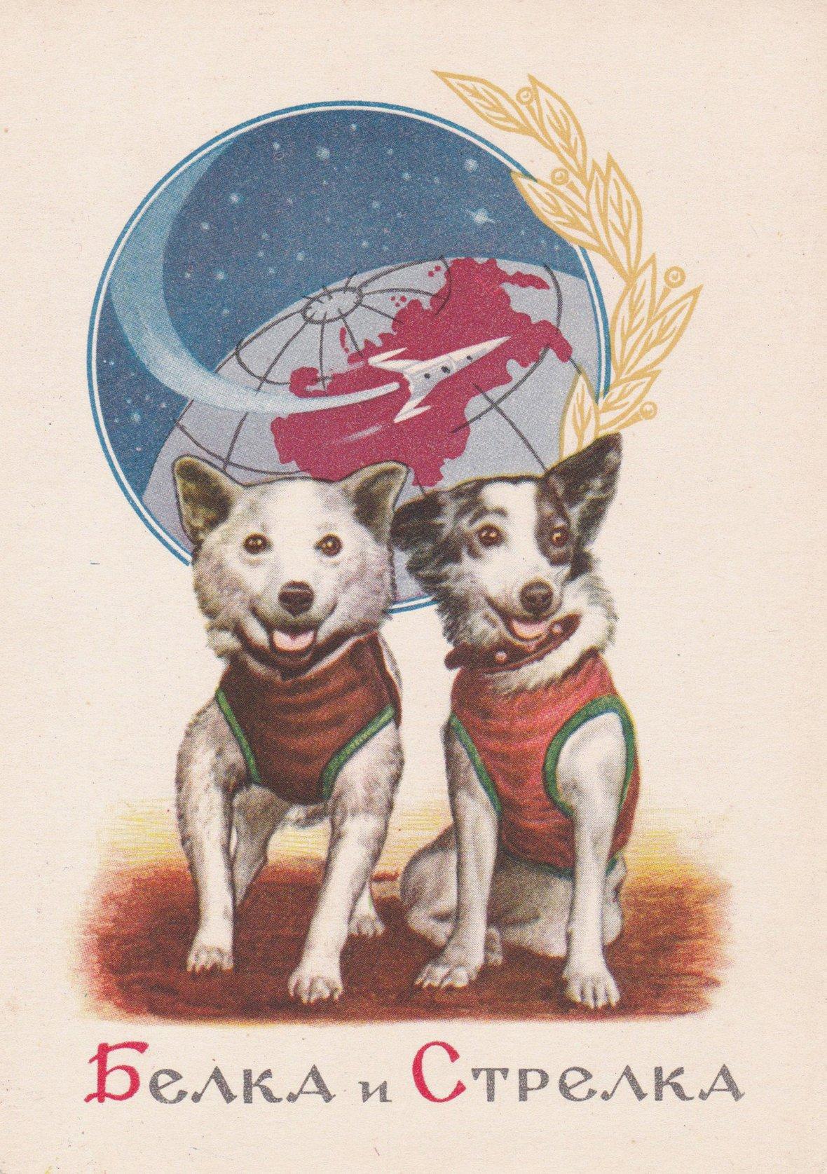 Советские открытки «С Днем космонавтики»: с Гагариным, космосом и Белкой и Стрелкой полет, открыток, миссии, космонавт, космоса, апреля, орбиту, прорывом, огромным, орбите, понимании, буквальном, космос, помощью, безумно, полетевшим, человеком, первым, Гагарин, советский