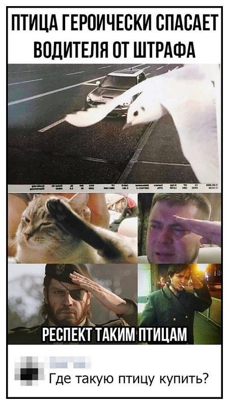 Свежие смешные до слез картинки Свежие смешные до слез картинки