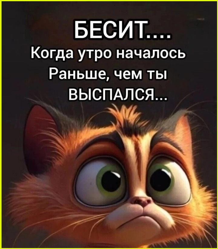 Поздний утренний юморок 