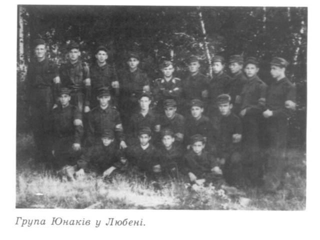 Украинские помощники люфтваффе и ПВО Украинские помощники люфтваффе и ПВО история