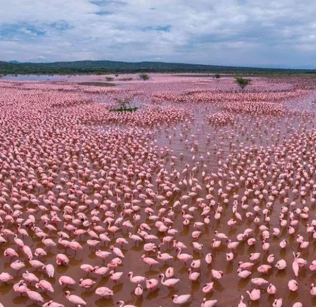 Подборка смешных картинок и позитивных фотографий (11 фото)