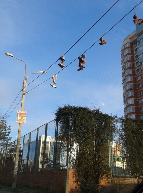 Тем временем в России (13 фото)