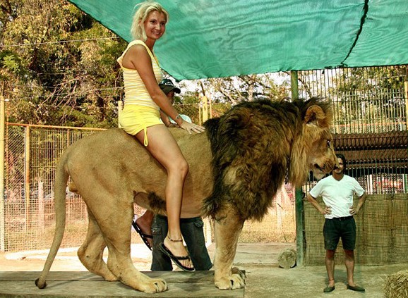 Самый опасный зоопарк в мире путешествие,страны,туризм