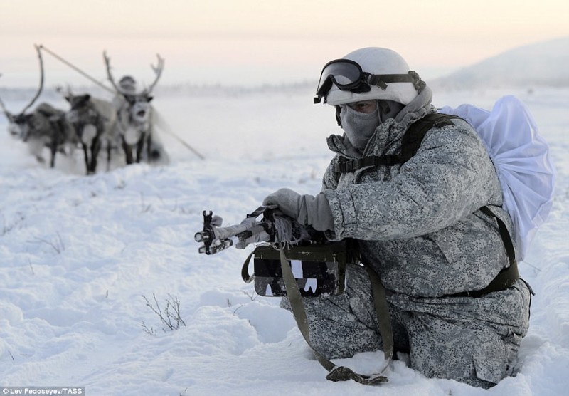 На оленеводческой ферме недалеко от поселка Ловозеро солдаты в специальной экипировке проходят интенсивную подготовку арктика, нефть, россия