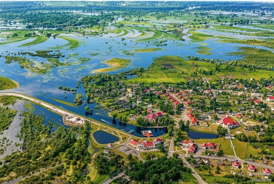 Полесье: сокровище Беларуси с высоты птичьего полета Полесье: сокровище Беларуси с высоты птичьего полета Беларусия,путешествие,туризм