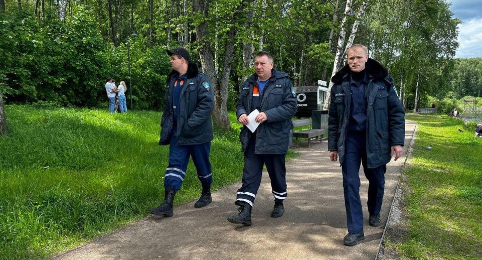 Жителям Солнечногорска напомнили о запрете на разжигание костров в неположенных местах