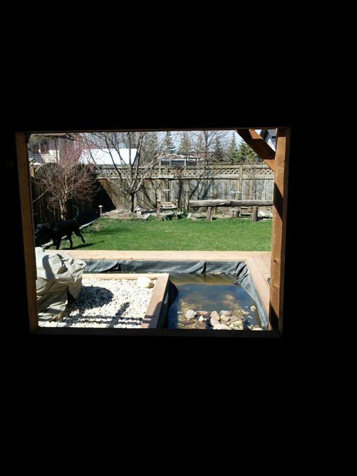 Впечатляющая переделка старого сарая Впечатляющая переделка старого сарая разное,строительство и ремонт