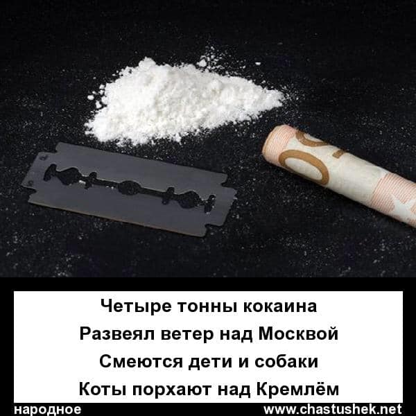 На изображении может находиться: текст «четыре тонны кокаина развеял ветер над москвой смеются дети и собаки коты порхают над кремлём народное www.chastushek.net»