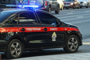Главе ведомства будет доложено о расследовании обстоятельств гибели трех человек в Ульяновской области