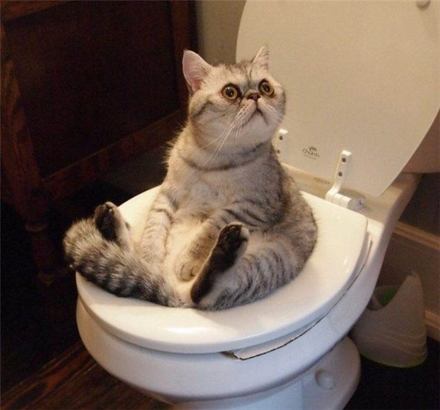 Написала письмо Деду Морозу. Отдала мужу. Жду веселые картинки