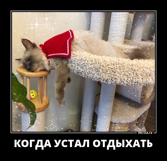 Смешные картинки устала отдыхать, поздравляю крещением