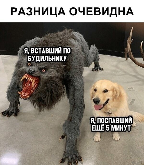 - Разговор с тобой - как разминирование боеприпасов времён войны: хрен знает, в какой момент рванёт и по какой причине. - Я старая?!.. веселые картинки