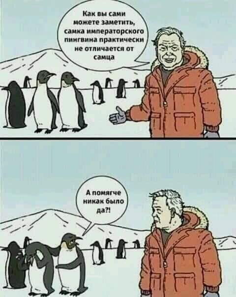 Требуются работники для сбора малины. Платим 50 евро в день. Если хозяева поймают, то мы вас не знаем Требуются работники для сбора малины. Платим 50 евро в день. Если хозяева поймают, то мы вас не знаем анекдоты,веселые картинки,демотиваторы,животные,позитив,приколы