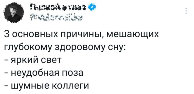 Прикольные комментарии: «У меня который год есть идея…» 
