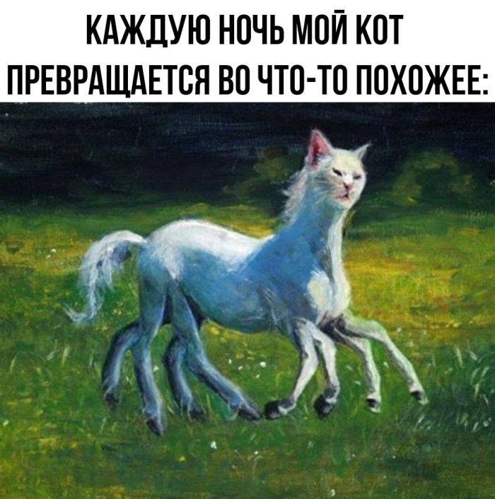 Юмор для тех, кто уже повзрослел и понял, что «встретиться» — это пообещать и не встретиться 