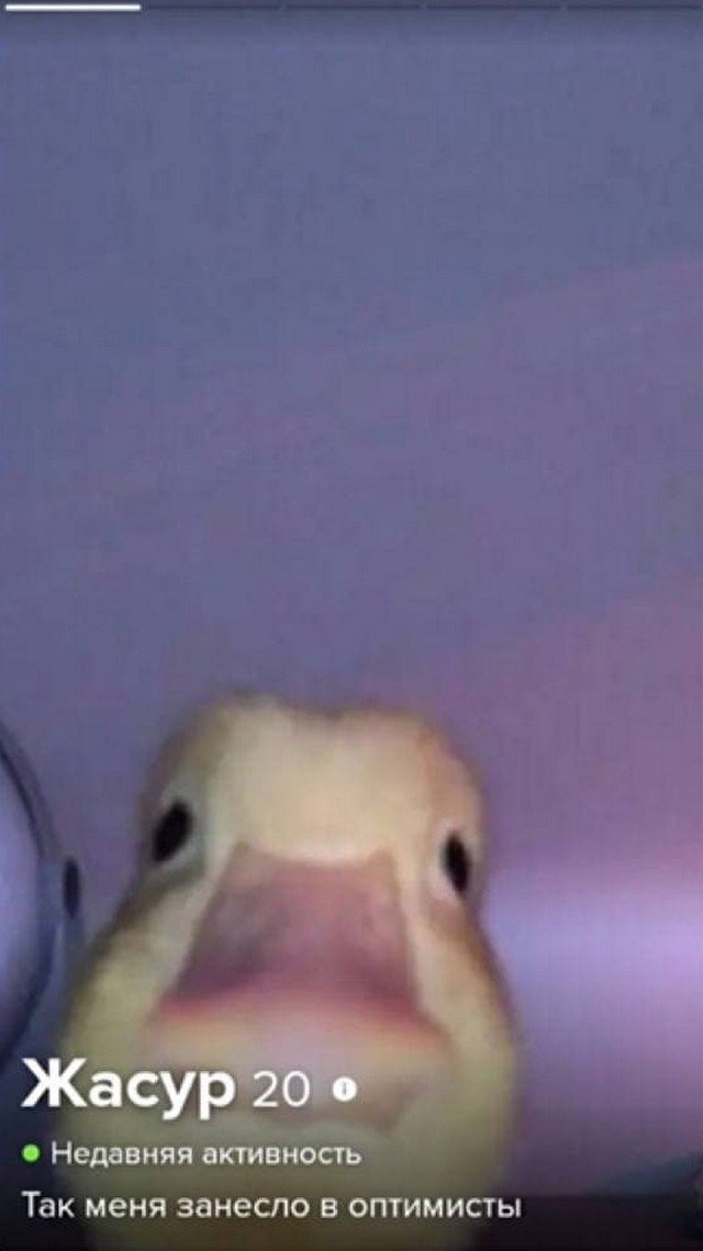 Смешные анкеты с сайтов знакомств  позитив,смешные картинки,юмор