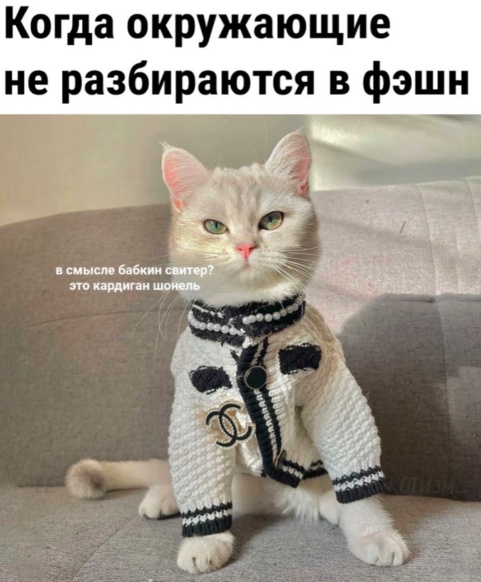 Юмористические картинки для настроения 