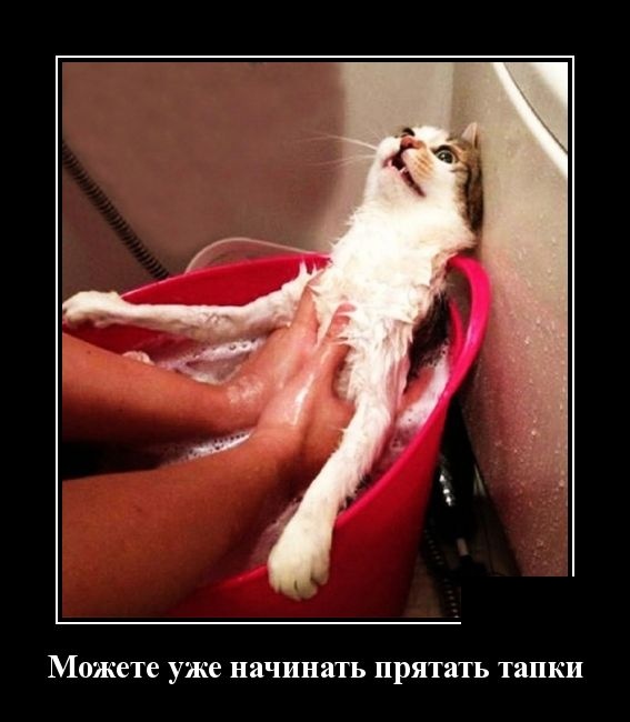 Демотиваторы Демотиваторы демотиваторы