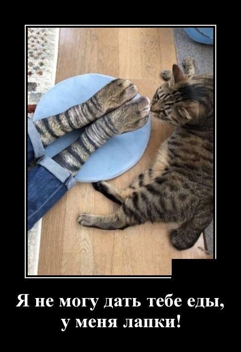 Демотиваторы Демотиваторы демотиваторы