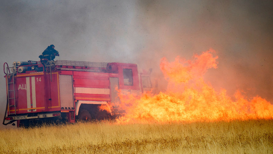 Эксперт Карнаухов: после паводков в регионах возможны лесные и торфяные пожары