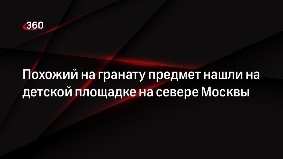 Похожий на боевую гранату предмет нашли на детской площадке на севере Москвы