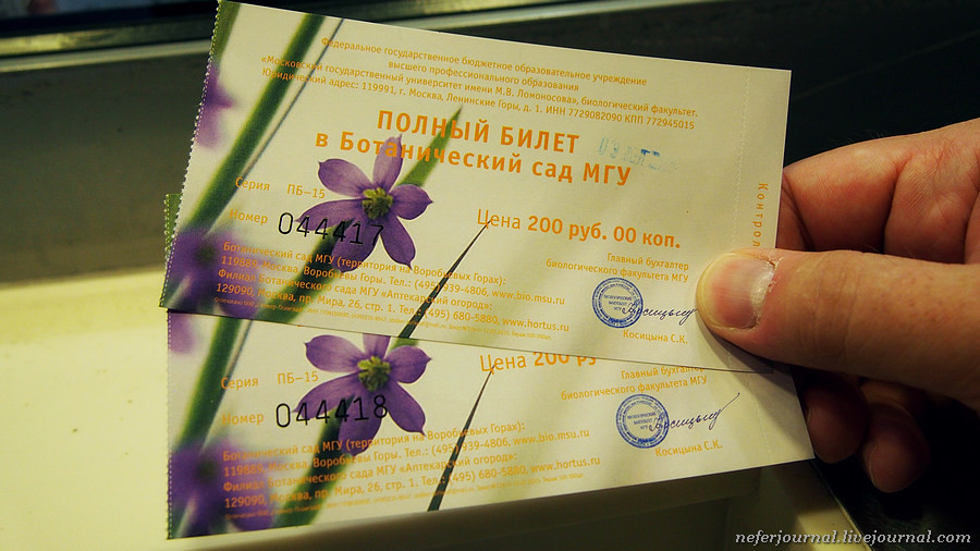 Аптекарский огород в москве цена билета. Аптекарский огород билеты. Входной билет в Аптекарский огород. Аптекарский огородбиле. Аптекарский огород в Москве стоимость билета.