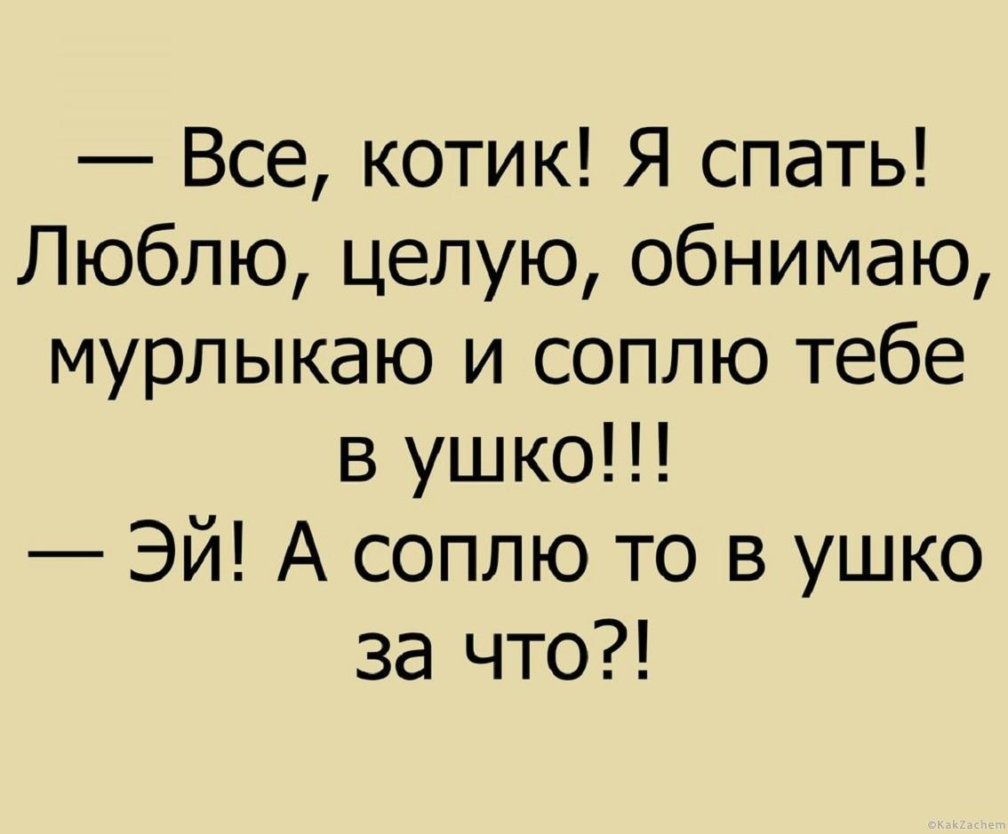 Картинки анекдоты с надписями новые