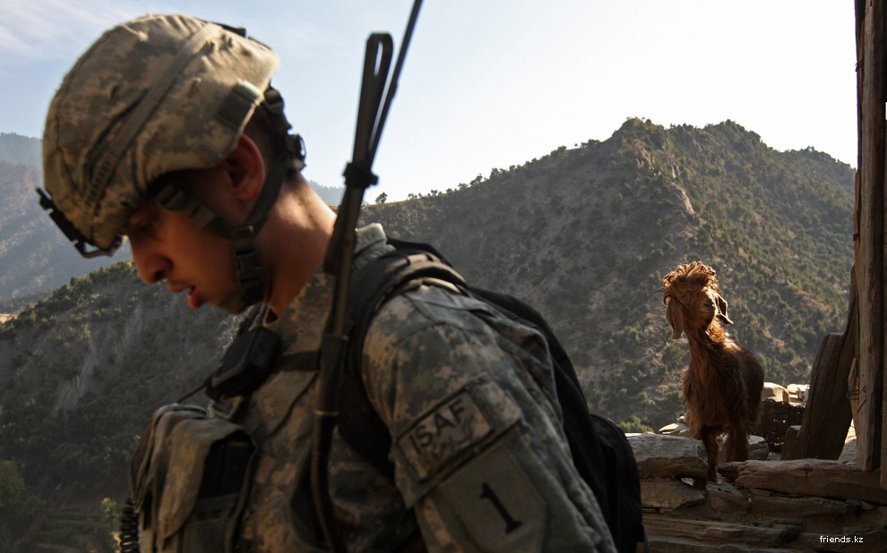 Психология боя американцев в Афганистане Афганистан,Мужское,США,фоторепортаж