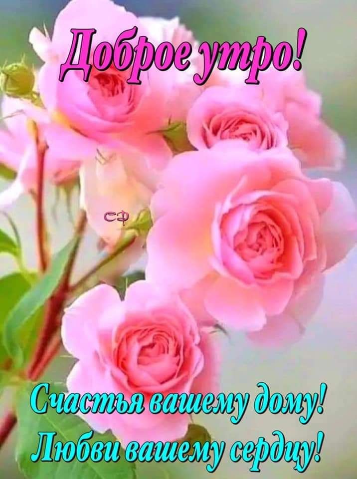 Веселый юмор на злобу дня 