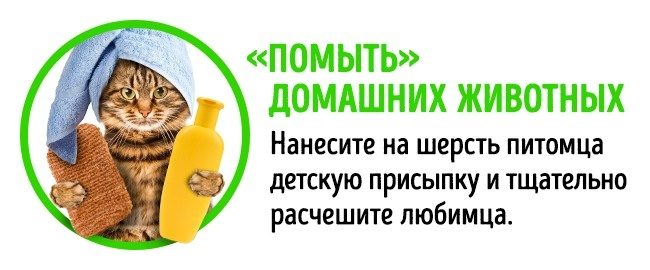 Способы применения детской присыпки, о которых вы не догадывались