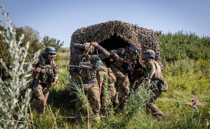 Прорыв за Оскол: Под Купянском офицеры 14-й ОМБр ВСУ убивают друг друга россия,украина