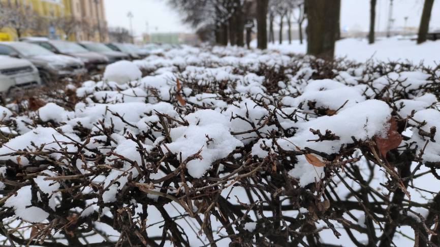 Уволили из-за снега: властям Петербурга посоветовали не повторять сценарий вице-губернатора Севастополя