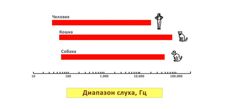 Кошки могут слышать звуки частотой на 5000-10000 Гц выше, чем собаки. График: Stanley Coren
