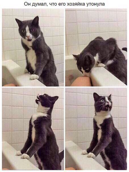 Позитивные картинки и фотографии Позитивные картинки и фотографии