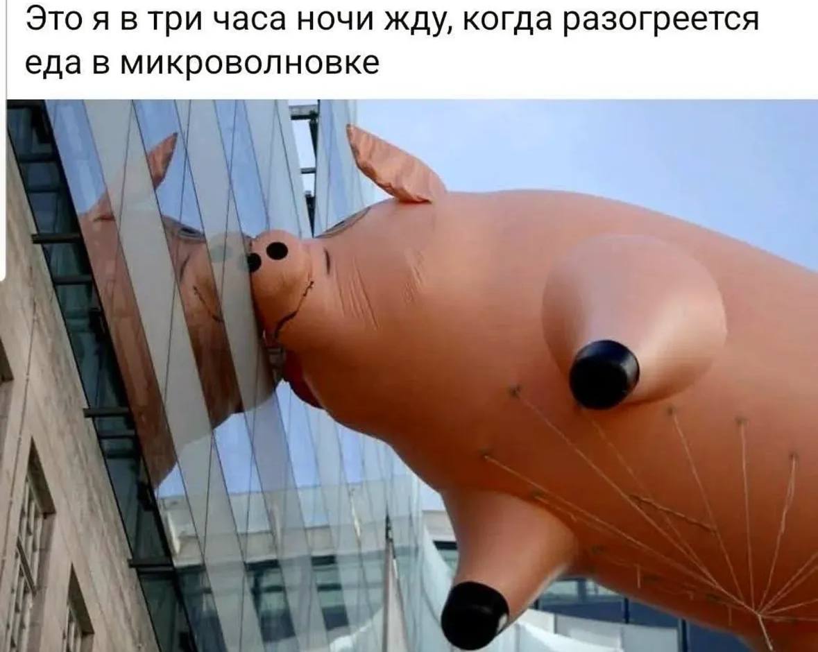 Мемы с котиками, разные смешные картинки и позвоночник 
