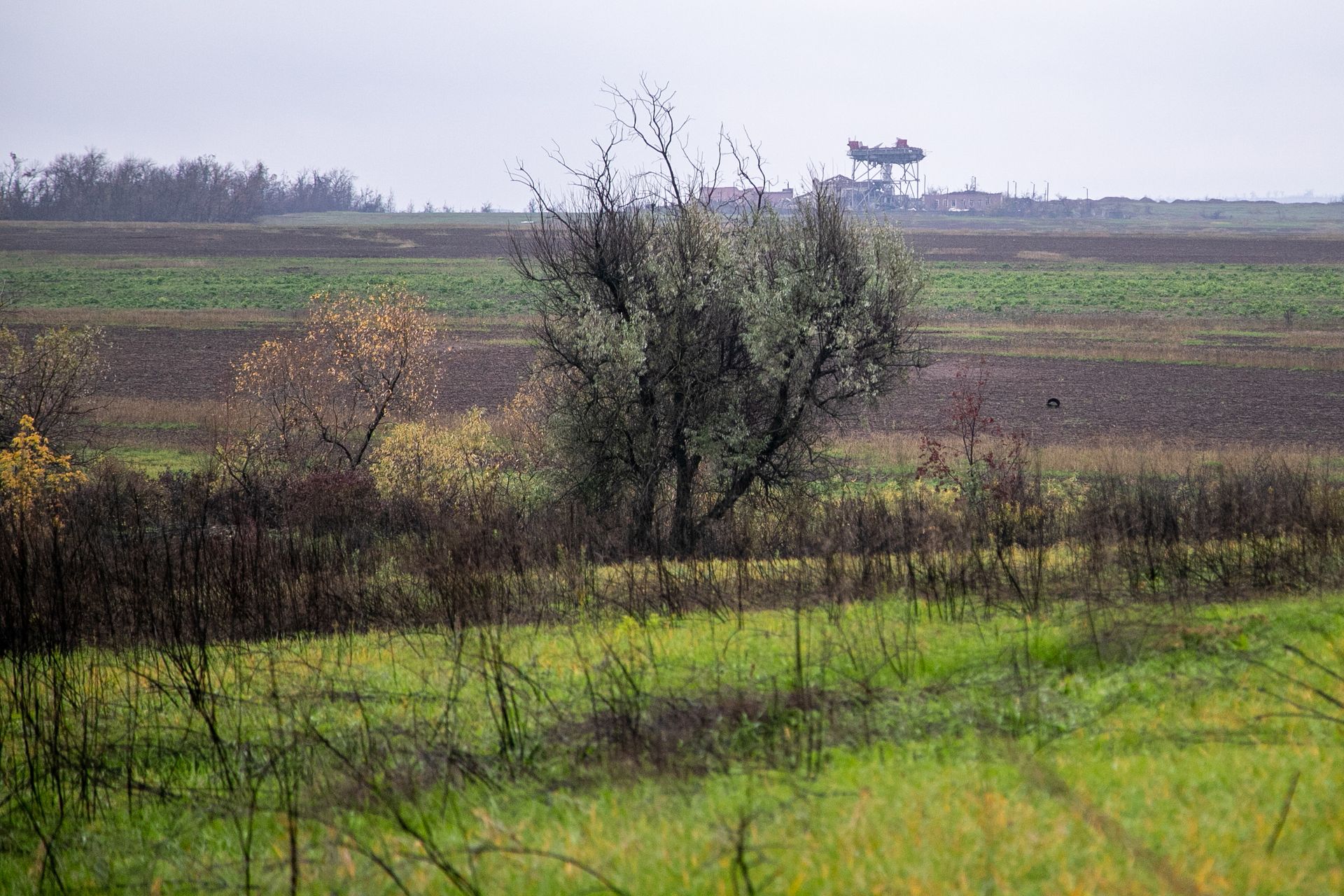 «Мы наступаем»: боец ЧВК «Вагнер» о напряженной ситуации под Бахмутом «Мы наступаем»: боец ЧВК «Вагнер» о напряженной ситуации под Бахмутом Весь мир,Видео,Военкоры ФАН,Репортажи